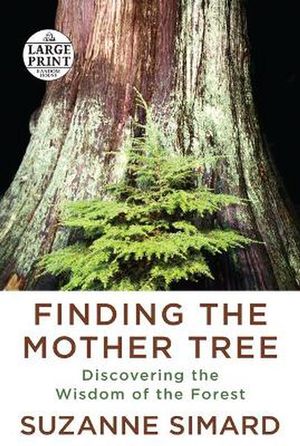 Cover Art for 9780593459423, Finding the Mother Tree: Discovering the Wisdom of the Forest by Suzanne Simard