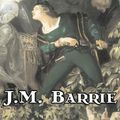 Cover Art for 9781606640074, Peter Pan by James Matthew Barrie