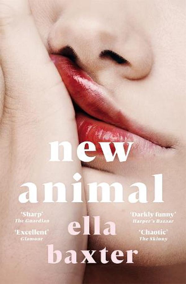 Cover Art for 9781529074840, New Animal by Ella Baxter