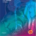 Cover Art for 9780443100369, Neuroanatomy by Crossman PhD DSc, Alan R., Neary Md frcp, David