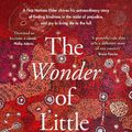 Cover Art for 9780733342448, The Wonder of Little Things by Vince Copley