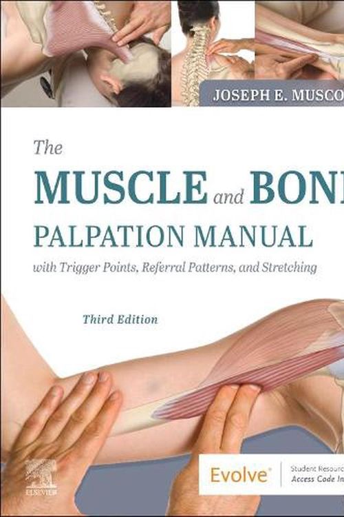 Cover Art for 9780323761369, The Muscle and Bone Palpation Manual with Trigger Points, Referral Patterns and Stretching by Joseph E. Muscolino