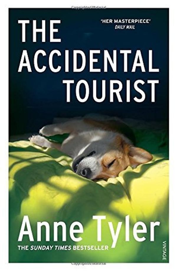 Cover Art for B017MYTTO4, The Accidental Tourist by Anne Tyler (1995-05-04) by Anne Tyler