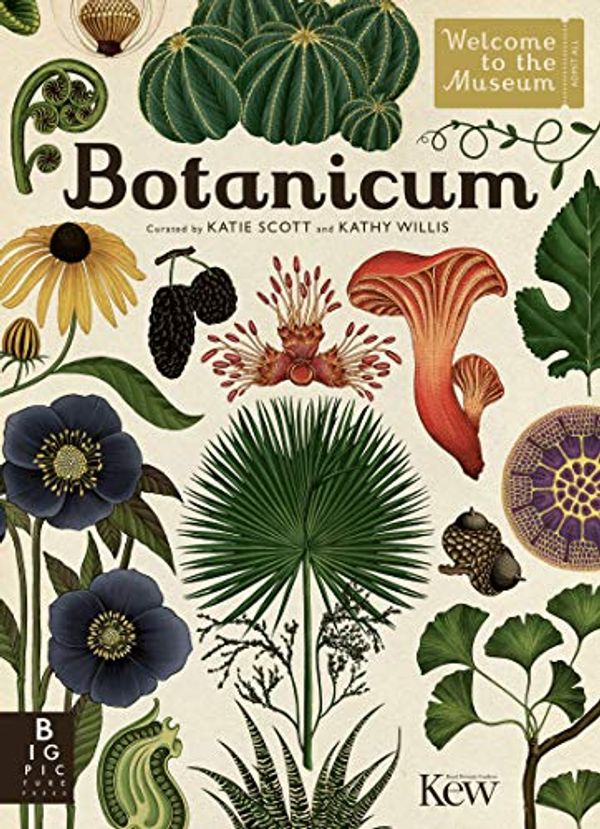 Cover Art for B077YMSTH7, Botanicum (Welcome To The Museum) by Kathy Willis