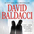 Cover Art for 9781455521289, The Hit by David Baldacci