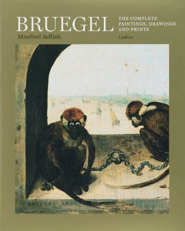 Cover Art for 9789055446865, Bruegel by Manfred Sellink