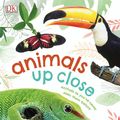 Cover Art for 9780241327395, Animals Up Close by DK