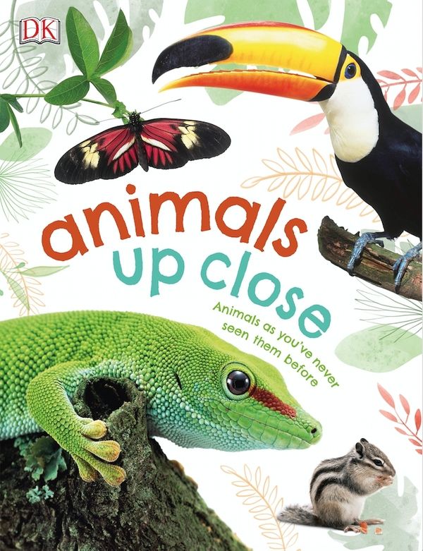 Cover Art for 9780241327395, Animals Up Close by DK