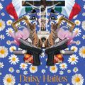 Cover Art for 9781737281146, Daisy Haites by Jessa Hastings