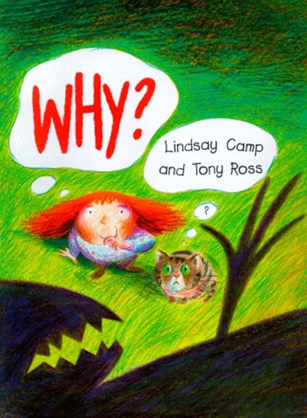 Cover Art for 9780399233968, Why? by Lindsay Camp