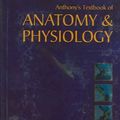 Cover Art for 9780323031929, Anthony's Textbook of Anatomy and Physiology (17th Edition) by Kevin T. Patton, Gary A. Thibodeau