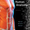 Cover Art for 9780134243818, Human Anatomy by Elaine N. Marieb, Patricia Brady Wilhelm, Jon B. Mallatt