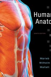 Cover Art for 9780134243818, Human Anatomy by Elaine N. Marieb, Patricia Brady Wilhelm, Jon B. Mallatt