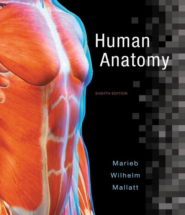 Cover Art for 9780134243818, Human Anatomy by Elaine N. Marieb, Patricia Brady Wilhelm, Jon B. Mallatt