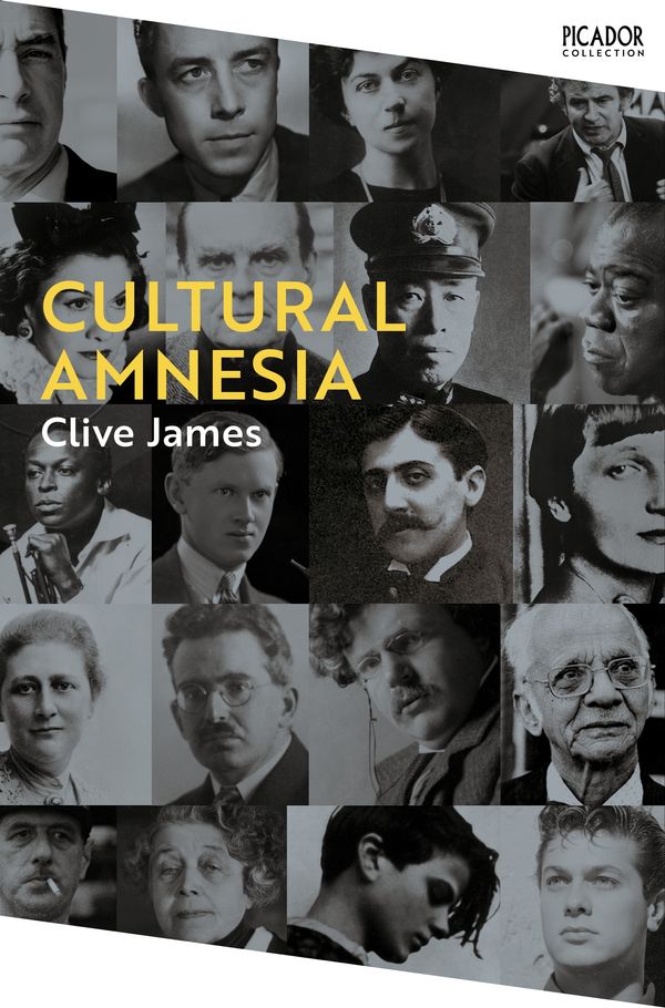 Cover Art for 9781529077346, Cultural Amnesia by Clive James