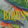 Cover Art for 9781922507327, Birds by Judith Wright