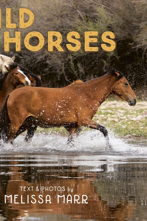 Cover Art for 9780593109113, Wild Horses by Melissa Marr