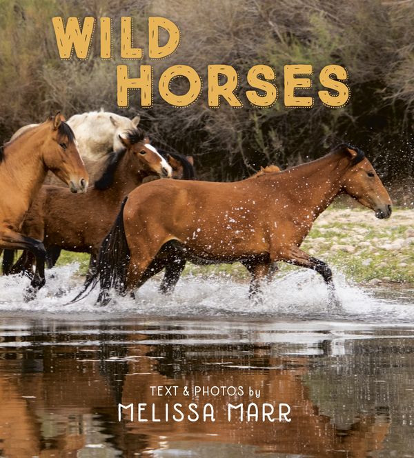 Cover Art for 9780593109113, Wild Horses by Melissa Marr