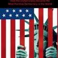 Cover Art for 9781316500613, Incarceration NationHow the United States Became the Most Punitive ... by Peter K. Enns
