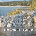 Cover Art for 9798656906548, The Golden Triangle by Maurice Leblanc