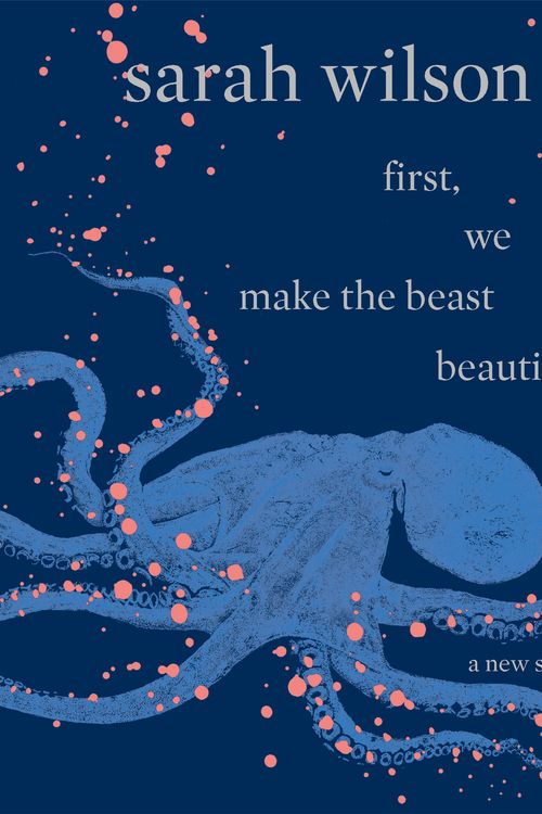 Cover Art for 9781743535868, First, we make the beast beautiful by Sarah Wilson