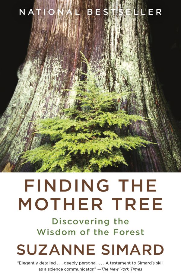 Cover Art for 9780525565994, Finding the Mother Tree by Suzanne Simard