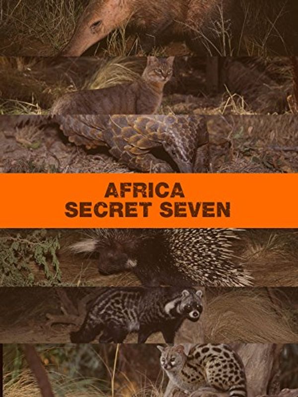 Cover Art for B073XYQZGW, Africa's Secret Seven by 
