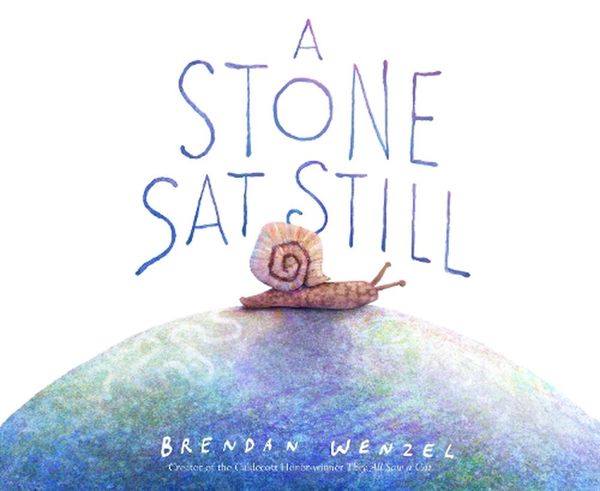 Cover Art for 9781797215716, A Stone Sat Still by Brendan Wenzel