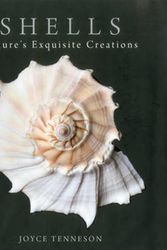 Cover Art for 9780892729760, Shells: Nature's Exquisite Creations by Joyce Tenneson