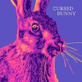Cover Art for 9781916277182, Cursed Bunny by Bora Chung, Anton Hur