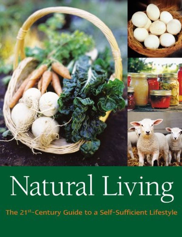 Cover Art for 9781856753203, Natural Living by Liz Wright