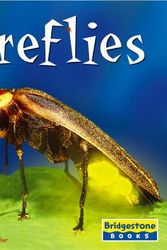 Cover Art for 9780736837071, Fireflies by Connie Colwell Miller