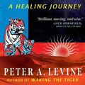 Cover Art for 9798888500767, An Autobiography of Trauma: A Healing Journey by Levine, Peter A.