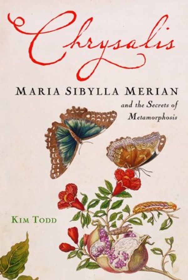 Cover Art for 9780151011087, Chrysalis: Maria Sibylla Merian and the Secrets of Metamorphosis by Kim Todd