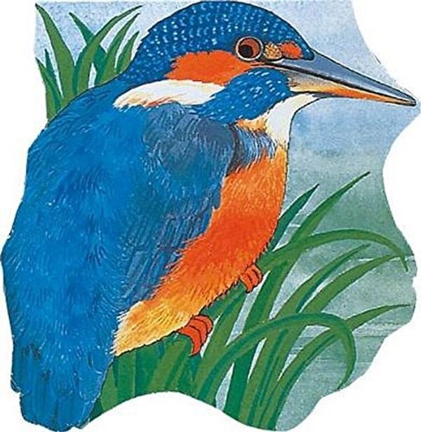 Cover Art for 9780859538633, Pocket Kingfisher by M. Twinn