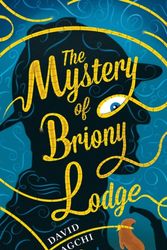 Cover Art for 9781909954076, Mystery of Briony Lodge by David Bagchi