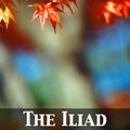 Cover Art for 9782819912811, The Iliad by Homer