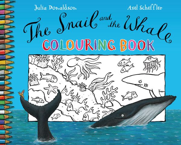 Cover Art for 9780330504058, The Snail and the Whale by Julia Donaldson