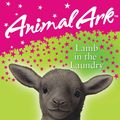 Cover Art for 9780340944448, Animal Ark: Lamb in the Laundry by Lucy Daniels