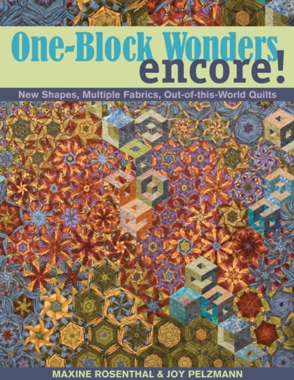 Cover Art for 9781571204646, One-block Wonders Encore! by Maxine Rosenthal