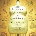 Cover Art for 9781848941946, The Little Giant of Aberdeen County by Tiffany Baker