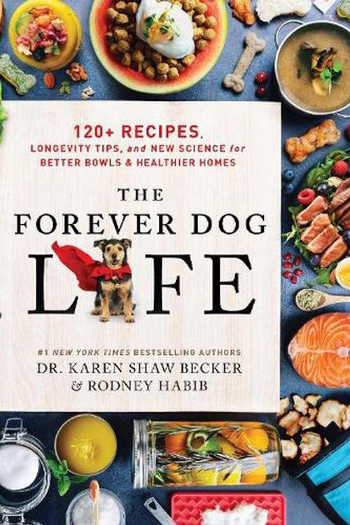 Cover Art for 9780063314009, The Forever Dog Life by Rodney Habib