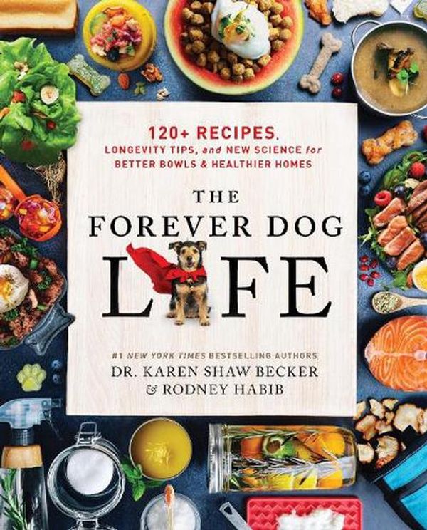 Cover Art for 9780063314009, The Forever Dog Life by Rodney Habib