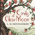 Cover Art for 9798639491238, Emily of New Moon by L. M. Montgomery