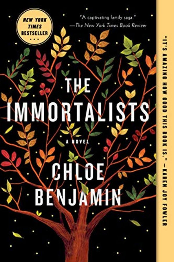 Cover Art for B071D3D2ZX, The Immortalists by Chloe Benjamin