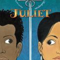 Cover Art for 9780763668075, Romeo and Juliet by Gareth Hinds