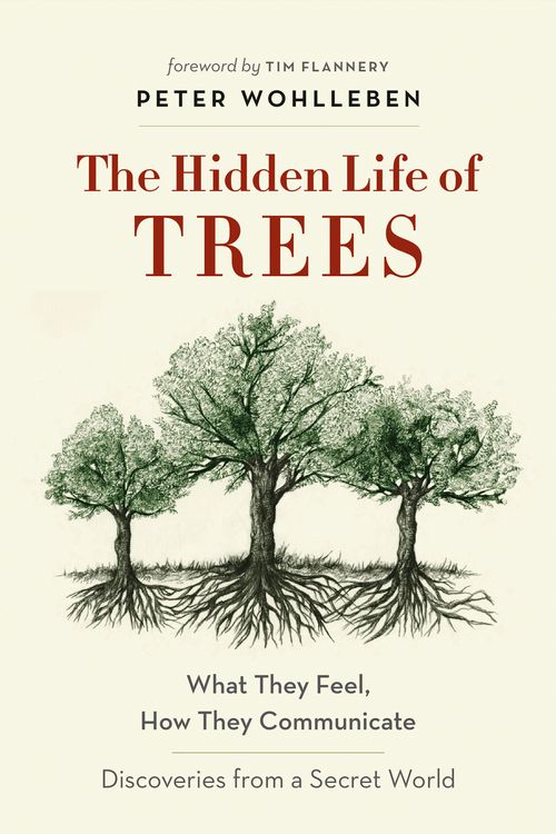 Cover Art for 9781863958738, The Hidden Life of Trees: What They Feel, How They Communicate - Discoveries from a Secret World by Peter Wohlleben