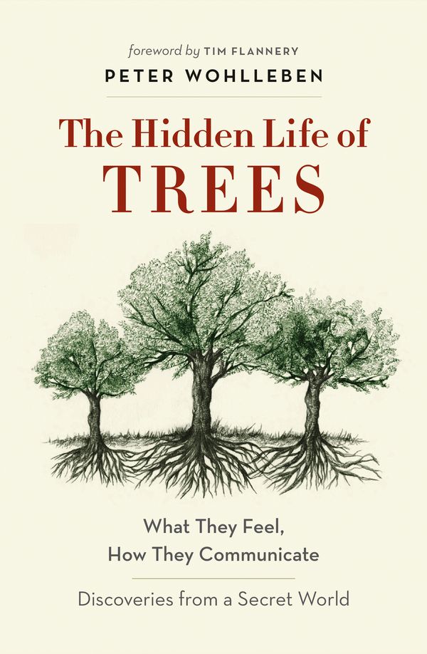 Cover Art for 9781863958738, The Hidden Life of Trees: What They Feel, How They Communicate - Discoveries from a Secret World by Peter Wohlleben