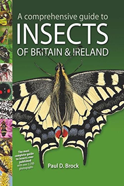 Cover Art for 9781874357582, A Comprehensive Guide to Insects of Britain and Ireland by Paul D. Brock