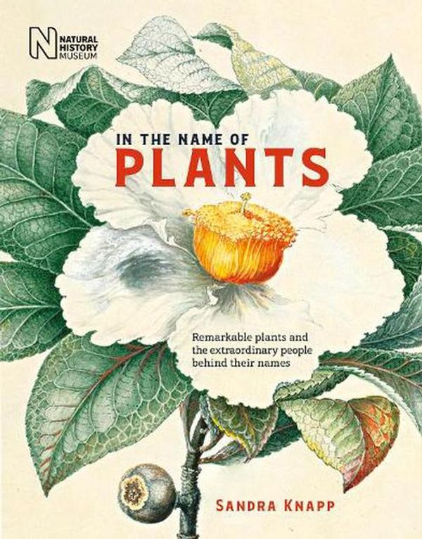 Cover Art for 9780565095352, In the Name of Plants: From Attenborough to Washington, the people behind plant names by Sandra Knapp